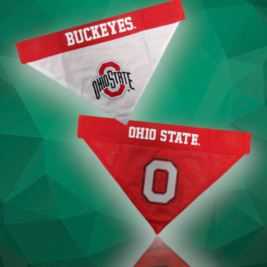 Ohio State Buckeyes NCAA Reversible Dog Bandana