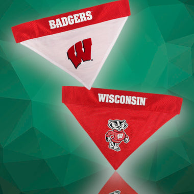 Wisconsin Badgers NCAA Reversible Dog Bandana