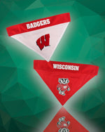 Wisconsin Badgers NCAA Reversible Dog Bandana