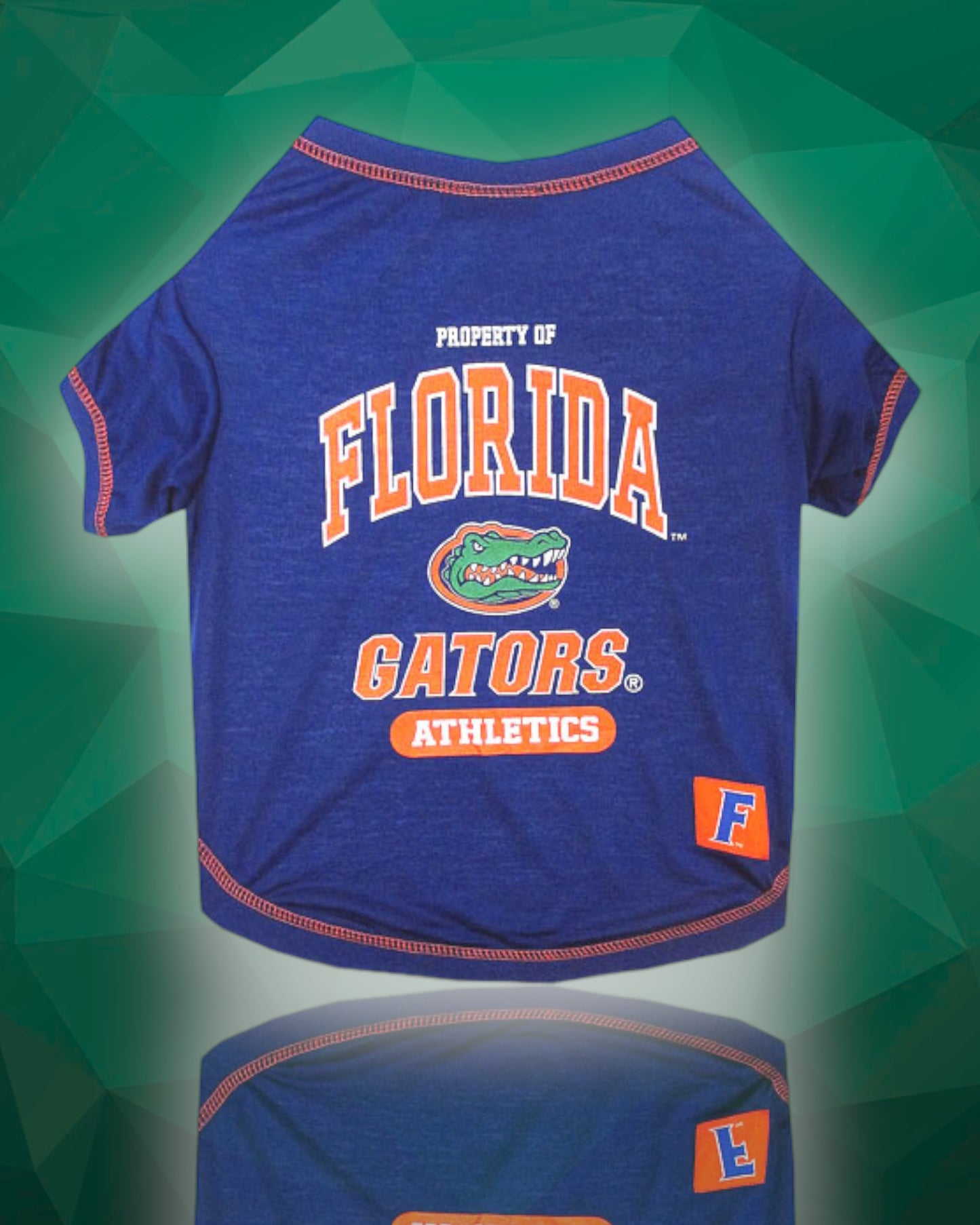 Florida Gators NCAA Dog Tee Shirt