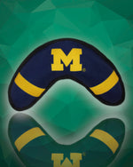 Michigan Wolverines Boomerang Dog Toy