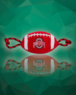 Ohio State Nylon Football Dog Toy