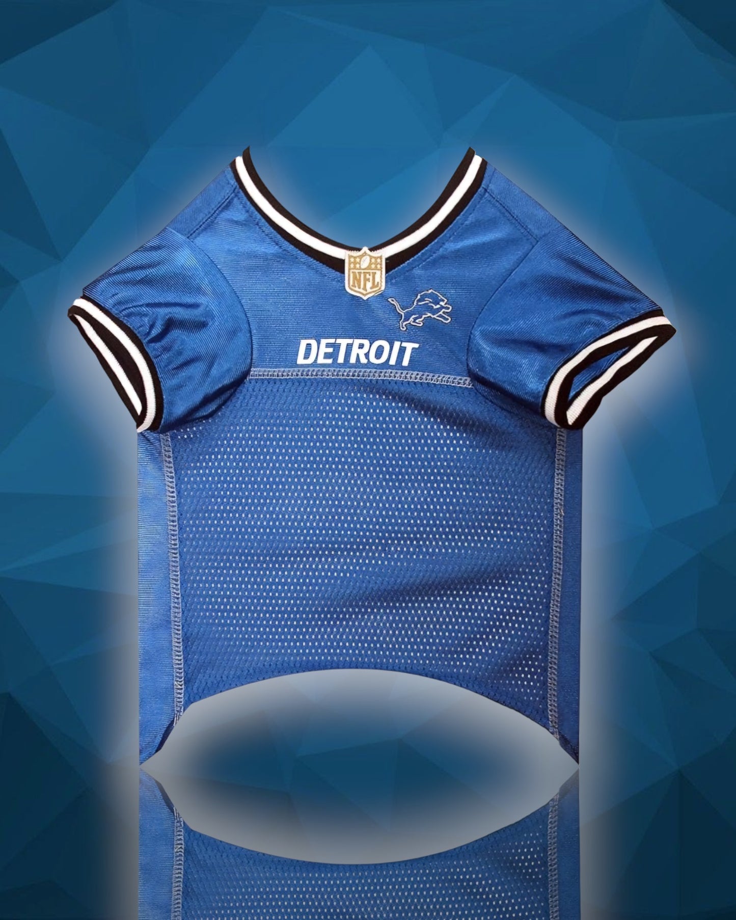 Detroit Lions NFL Dog Jersey