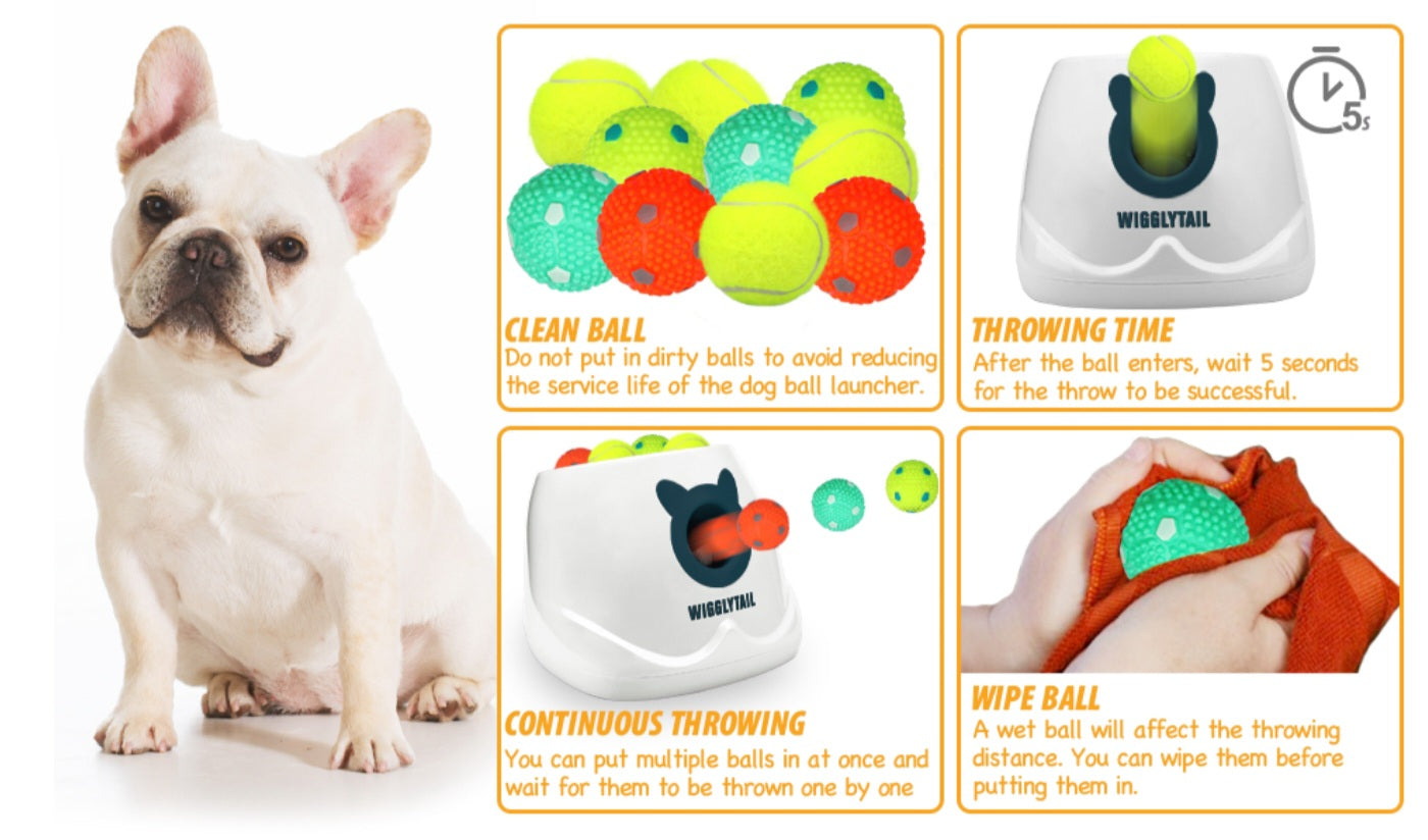 Fetch Machine Automatic Dog Ball Launcher