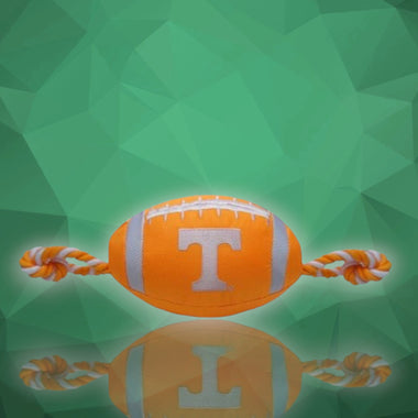 Tennessee Nylon Dog Football