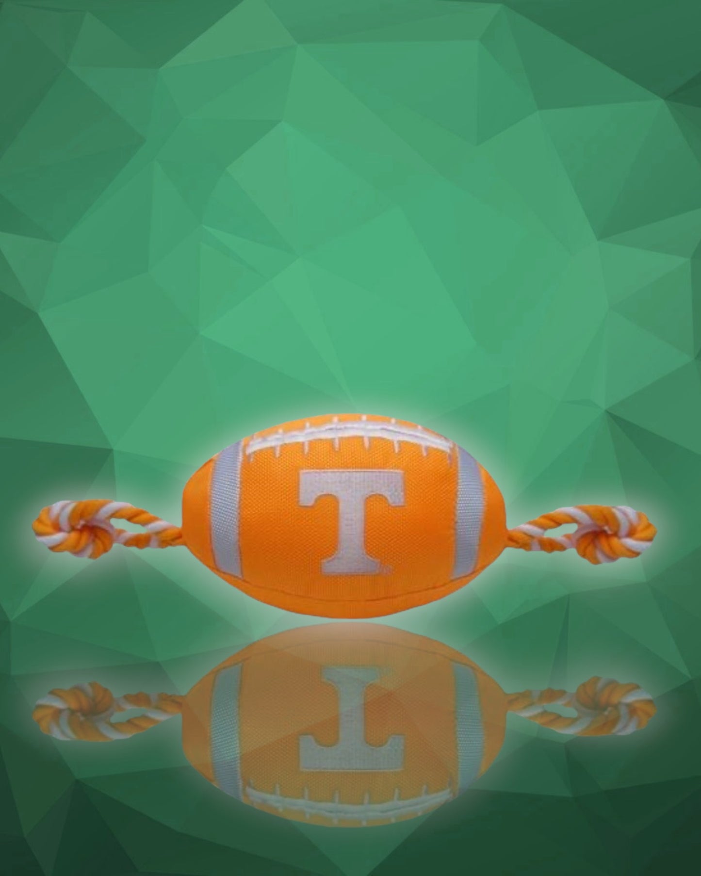 Tennessee Nylon Dog Football