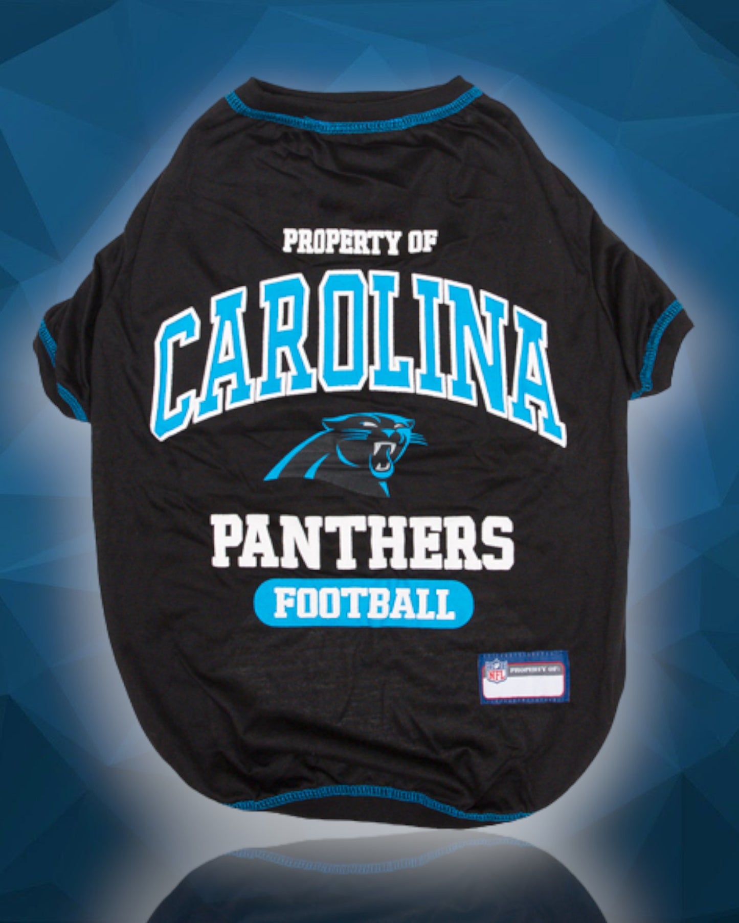 Carolina Panthers NFL Tee Shirt