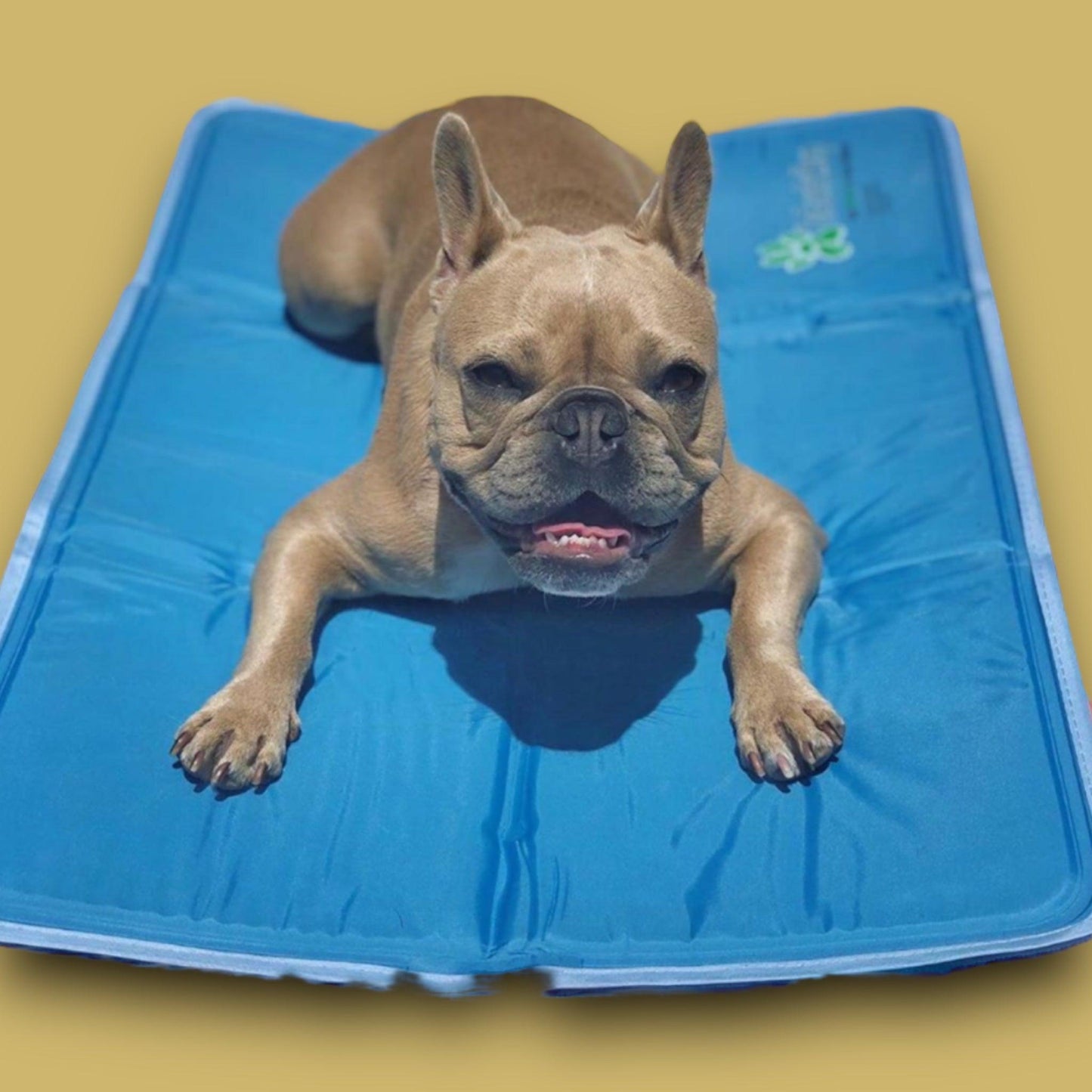 Cool Pet Pad