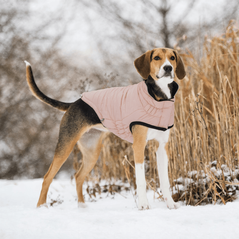 GF Pet Reversible Elasto-Fit Chalet Dog Jacket