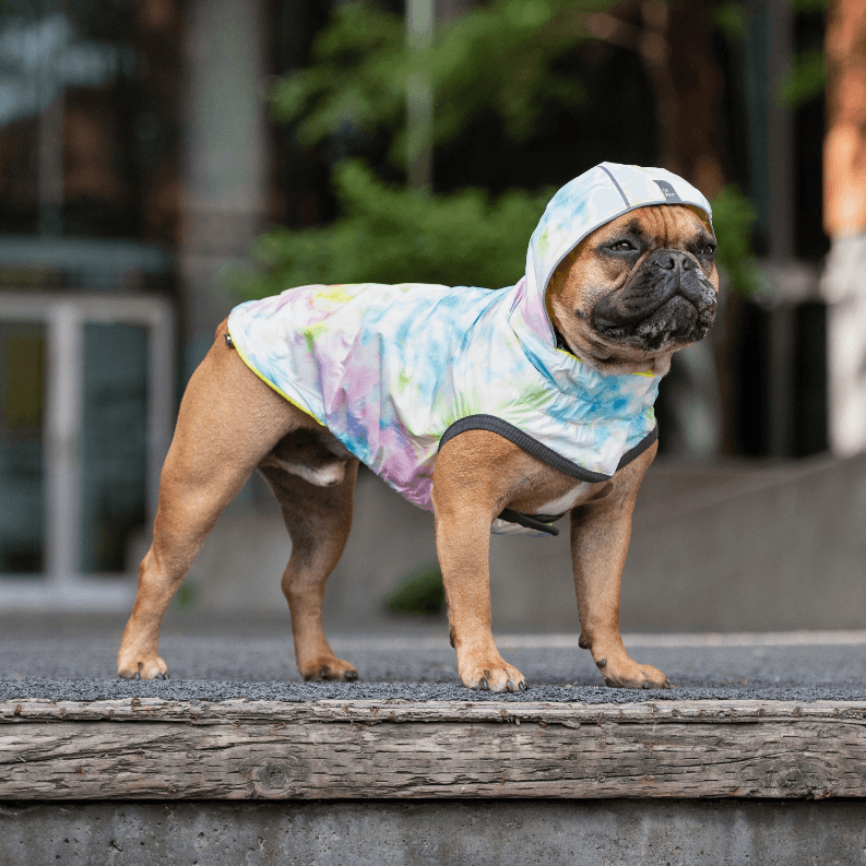 GF Pet Reversible Raincoat