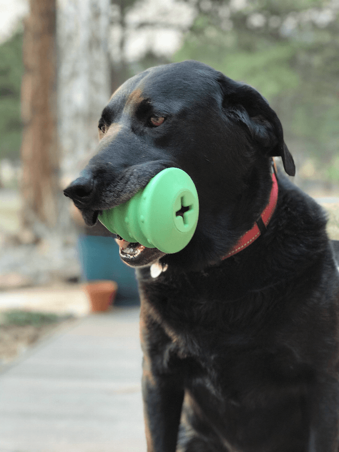 MKB Christmas Tree Chew Toy & Treat Dispenser