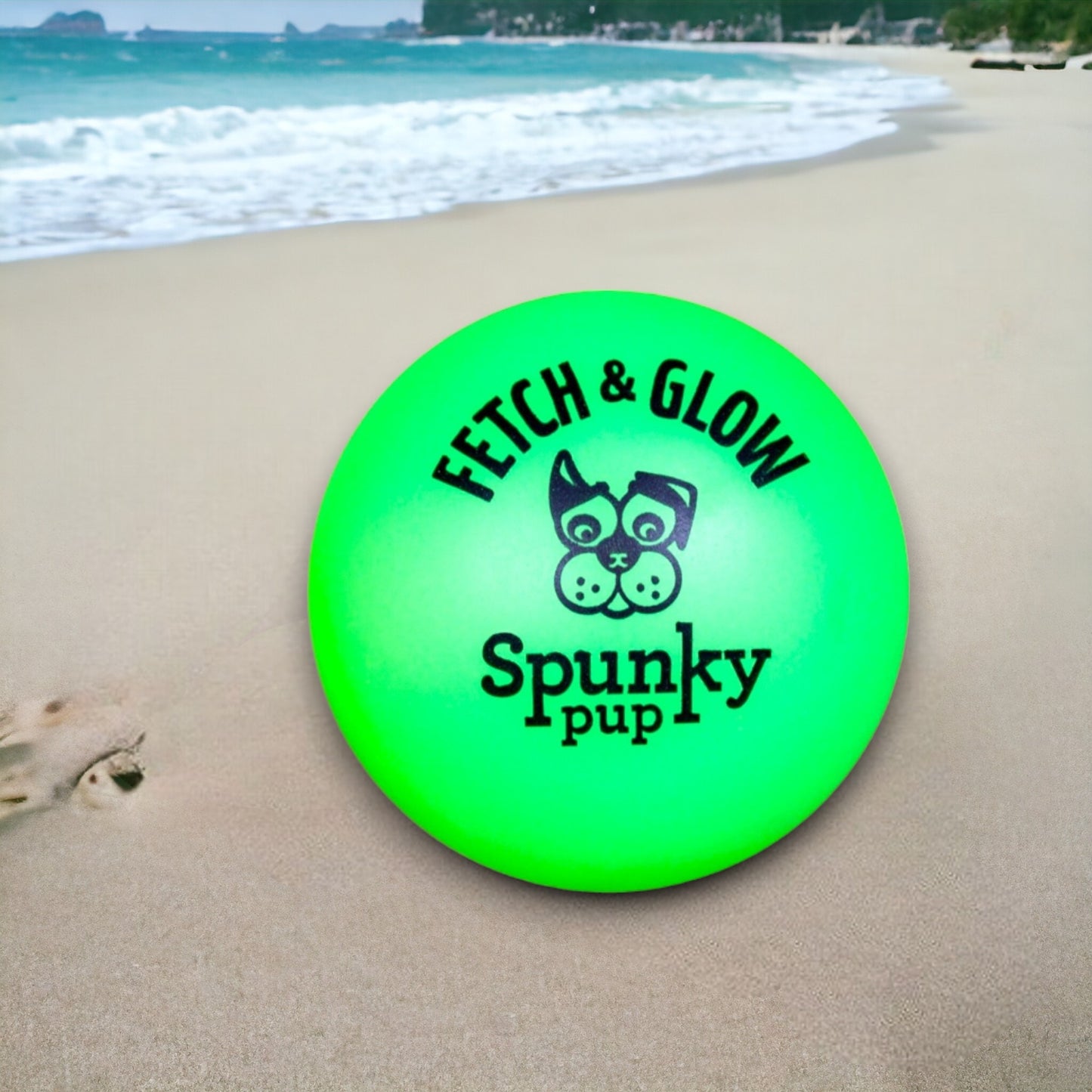 Fetch & Glow Ball