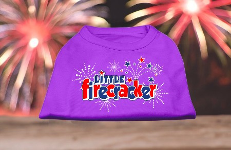 Little Firecracker Screen Print Shirts