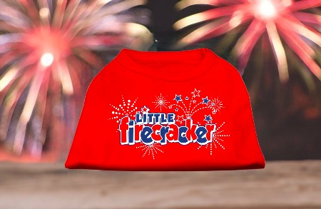 Little Firecracker Screen Print Shirts